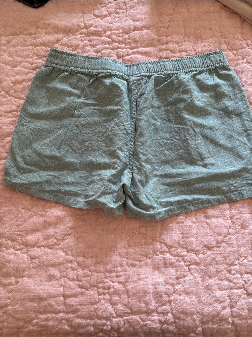 Patagonia Teal Women's Elastic Waist Shorts - Picture 3 of 3